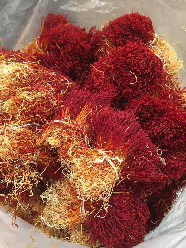 زعفران دخترپیچ