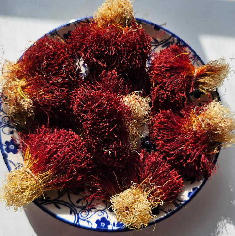 زعفران دخترپیچ