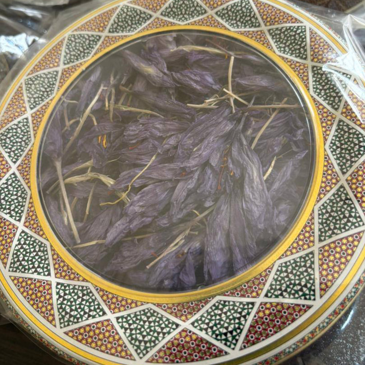 غنچه خشکیده گل زعفران