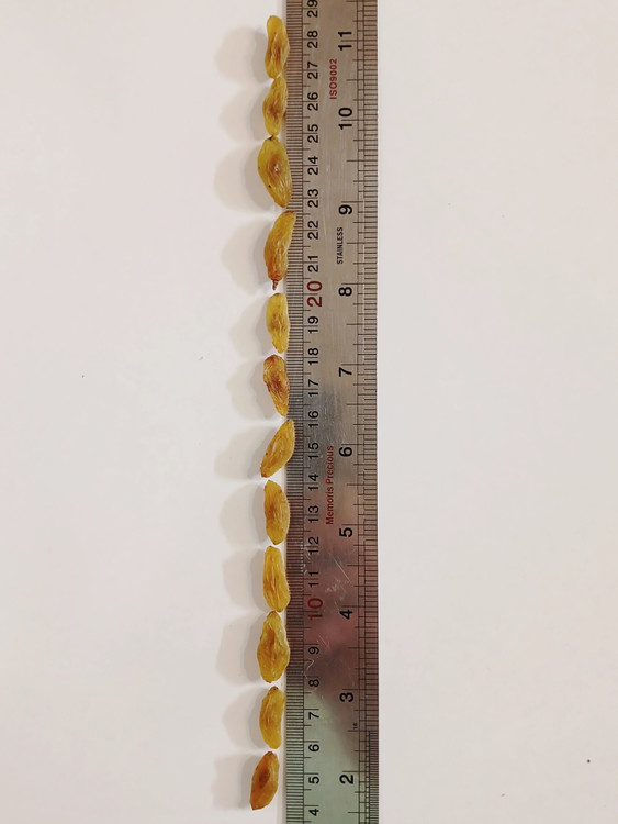 کشیدگی کشمش سبز قلمی