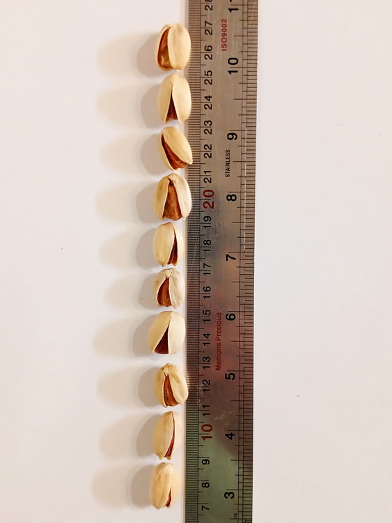 نمایش قد و اندازه پسته با استفاده خط کش