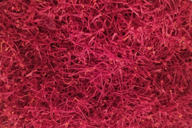 حجم زیادی از زعفران نگین سنتی